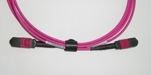 MTP/MPO Trunk-Kabel OM4 12-Core MTP Female/Female Typ-B 2m violett